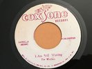 THE WAILERS i am still waiting / ska jerk 7