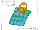 Courtney Barnett - Sometimes I Sit and Think, And Sometimes I Just Sit.