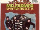 The Seeds GNP 383 Mr Farmer Up in Her Room PS