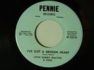 Little Daddy Walton & Sons 45 SPEND MY MONEY /I'VE GOT A... Pennie M- funk/blues