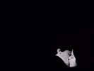 BOB MOSES DAYS GONE BY NEW SEALED LTD SILVER VINYL 2LP & MP3 IN STOCK