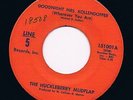 HUCKLEBERRY MUDFLAP goodnight mrs. kollendoffer / blue HEAR VG+ 60 GARAGE psych