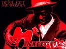 Devil Got My Woman - Skip James (2009, Vinyl New)