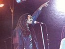 Orig Reggae Lp