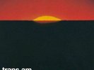 TRANS AM-SURRENDER TO THE NIGHT-VINYL LP THRILL JOCKEY NEW