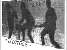 ? ELEPHANTS NEVER SLEEP - Jungle // r-a-r-e Berlin/Nürnberg punk 1984 ?