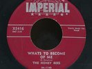45bs-R&B vocal group-IMPERIAL 5416-The Honey Bees