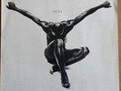 Seal (1994) vinyl LP
