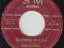R&B 45 - Little Woo-Woo & The Morrocco's - This Wonderful Girl - 3M - mp3