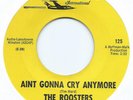 ROCK / GARAGE 45 - THE ROOSTERS 