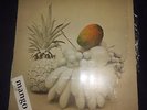 GRUPO MANGO LP LATIN FUNK SALSA VENEZUELA VIBES VG+ VG+  YVLP018