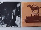 HOWLIN' WOLF - 2 LP's BLUES - Evil / Going Back Home