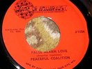 PRIVATE 1960s WI Fuzz Garage 45 - PEACEFUL COALITION 