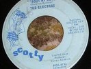 PRIVATE 1965 MN Garage 45 - THE ELECTRAS 
