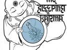 My Sleeping Karma (Vinyl Used Very Good)