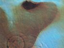 Pink Floyd – Meddle – SHVL 795 – Black Label – LP Vinyl Record