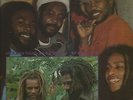 DON CARLOS & GOLD & THE GLADIATORS / SHOW - DOWN - VOL. 3 / LP / EX