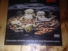 Limp Bizkit - Chocolate Starfish And Chocolate Flavored Water Rare Vinyl Album