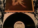 JOHNNY GUITAR WATSON - GETTIN DOWN WITH LP N. MINT I CRIED FOR YOU BLUES SOUL