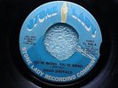 RARE 70'S SOUL 45 DAVID SHEFFIELD YOU'RE WRONG, YOU'RE WRONG STONE LADY 