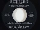 Morning Doves 