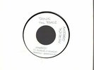 14271 PATRICK SAMSON VINILE STAMPA DI PROVA AMARSI - DINAMITE