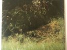THE BALLAD OF EVERGREEN BLUESHOES - Orig US Amos LP PSYCH/ROCK