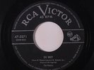 ROBINS: Oh Why / All Night Baby 45 (strong VG) rare Vocal Groups