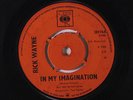 RICK WAYNE: In My Imagination / Don't Ever Share Your Love 45 (UK) Oldies