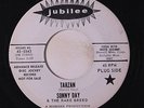 SONNY DAY & RARE BREED: Tarzan / Mushrooms And Moonbeams 45 (dj) Rock & Pop