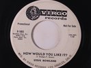 STEVE ROWLAND: How Would You Like It? / Dear Little Pen Pal 45 (dj, promo tol,
