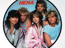 NENA – It’s All In The Game  - Picture LP – JAPAN  EPIC 30 3P-686   Near Mind
