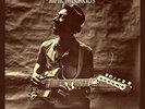 Hound Dog Taylor & the Houserockers - Hound Dog Taylor & the Houseroc...