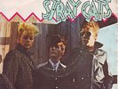 STRAY CATS -ROCK THIS TOWN - SPANISH ***PROMO*** WHITE LABEL- 1981