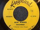 THE BLUE ECHOES Moonride RAYNARD Wisconsin Surf Rocker Instrumental HEAR