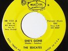 THE EDICATES She's Gone / Worried Mind 45 on Musicol Rare Ohio Garage M-