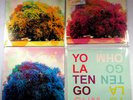 Yo La Tengo [3 x 12