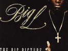 Big L - The Big Picture (1974 - 1999) '00 2xLP US ORG DJ Premier Lord Finesse