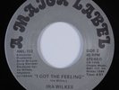 Modern Soul Boogie 45 IRA WILKES I Got The Feeling A MAJOR LABEL HEAR