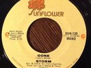 STORM Gone / This I Find Is Beautiful 45, RARE Detroit NORTHERN SOUL, Sunflower