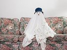 CHASTITY BELT - TIME TO GO HOME NEW VINYL