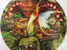 ** Spyro Gyra - Morning Dance / Picture Disc LP USA 1979 / Promo RAR NEU  **