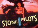 STONE TEMPLE PILOTS - Core - Vinyl (180 gram vinyl 2xLP)