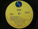 RAMONES 1st ALBUM  ORIG '75  LP MISPRINT BEAT IS ON THE BRAT