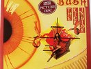 ** Kate Bush - The Kick Inside / Picture Disc LP UK 1979 Neu RAR Limited **