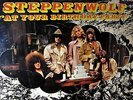 MINT SHRINK 1968   STEPPENWOLF   BIRTHDAY PARTY Hard Psych 