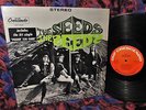 TopCopy 1966 Stereo 1st THE SEEDS   PUSHIN TOO HARD FUZZ GARAGE PUNK PSYCH SNARL