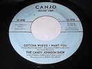 The Candy Johnson Show: Gotcha Where I Want You / Because 45 - Teen Rocker