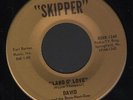 (Hear) 1965 David and Boys Next Door Missouri Garage M- 45 (Land O  Love)
