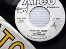 DEL RAYS Fortune Teller / Like I Do 1965 Garage Popcorn R&B 45 e3436